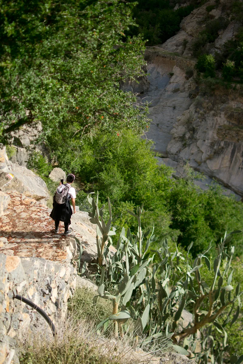 greenery on Jebel Akhdar