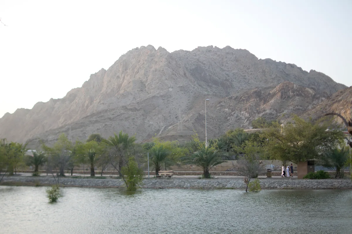 Rocky mountains behind palms and water in Masfout