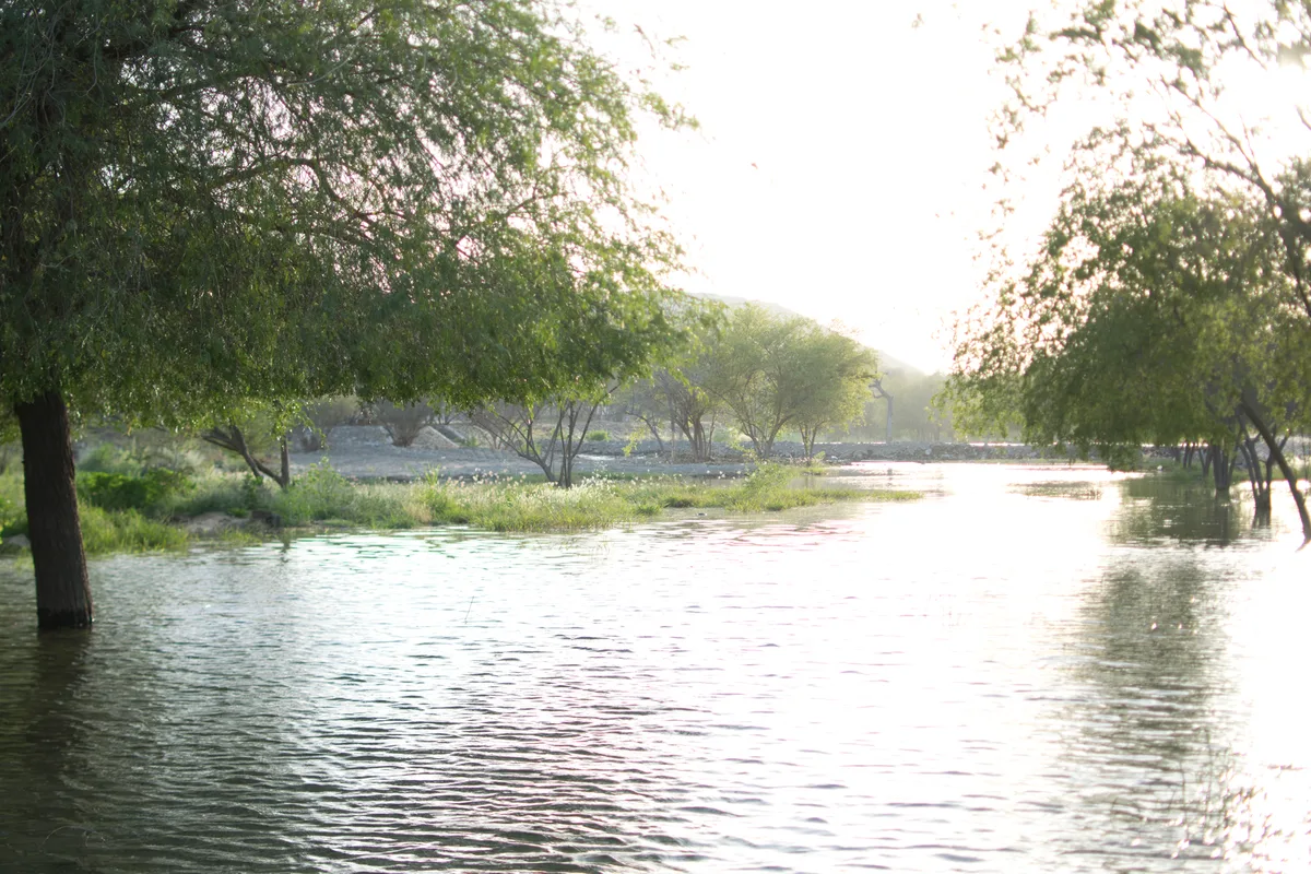 Water alongside a tree-lined creek in Masfout