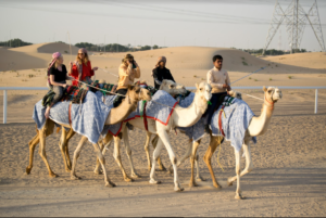 camel riding dubai hiking